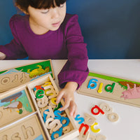 Wooden See & Spell Learning Toy