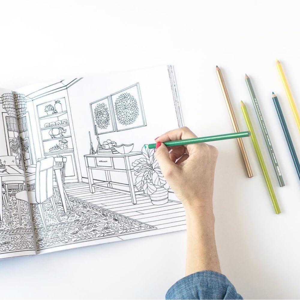 Color At Home: A Young House Love Coloring Book| Eugene Toy & Hobby