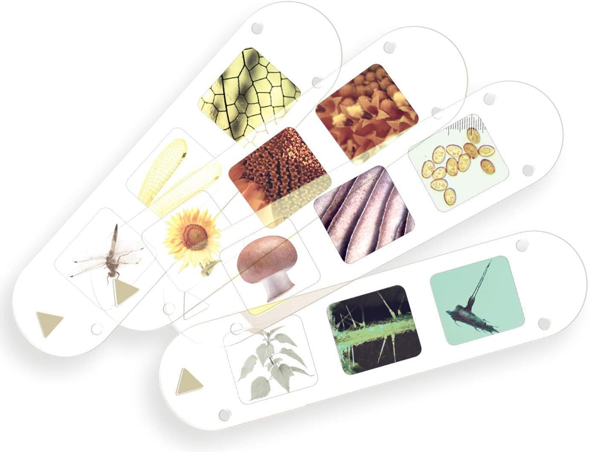 Kids First Big & Fun Microscope Eugene Toy & Hobby