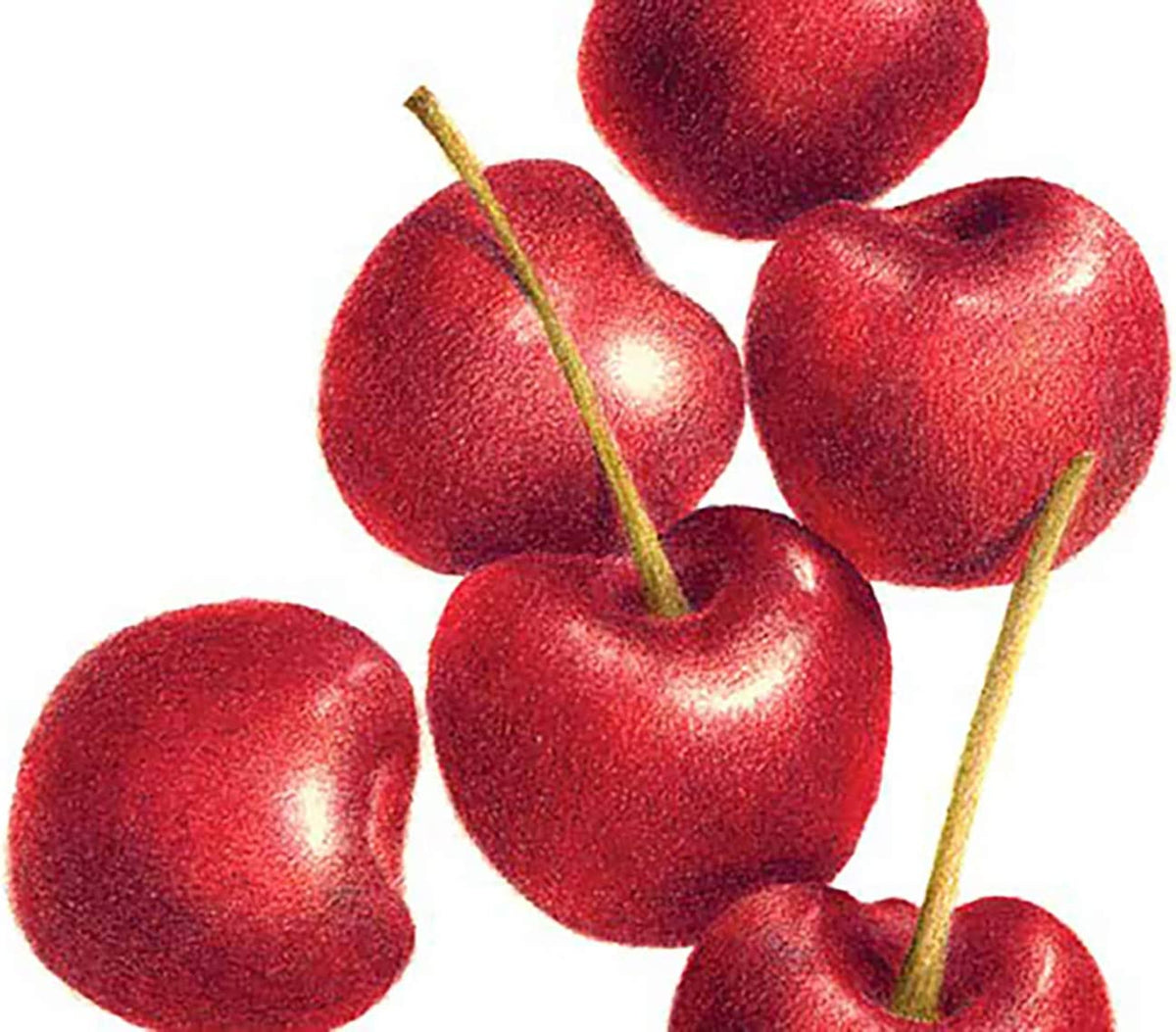 Blender and Burnisher Set Eugene Toy & Hobby