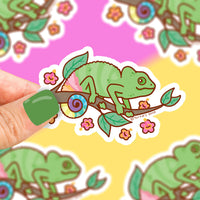Turtle's Soup Vinyl Stickers - Assorted