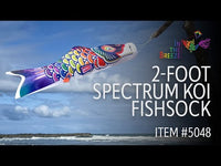 Fishsock Koi 2' Windsock (Assorted Colors)