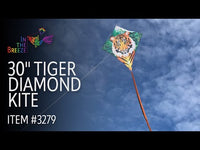 Diamond 30" Kite (Assorted Themes)