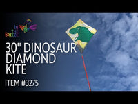 Diamond 30" Kite (Assorted Themes)