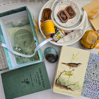 Little Bird Tarot & Field Guide 2nd Edition