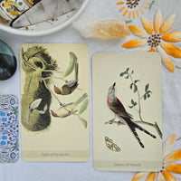 Little Bird Tarot & Field Guide 2nd Edition