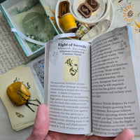 Little Bird Tarot & Field Guide 2nd Edition