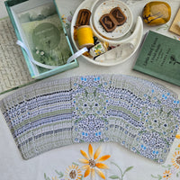 Little Bird Tarot & Field Guide 2nd Edition