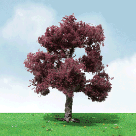 Copper Beech Trees - Pro Elite -- 1-3/4 - 2" 1.5 - 5.1cm pkg(3)