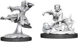 Dungeons and Dragons Female Human Monk Nolzur's Miniatures