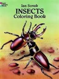 Dover Insects Coloring Book