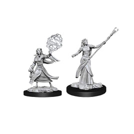 Dungeons and Dragons Female Elf Sorcerer Nolzur's Marvelous Miniatures