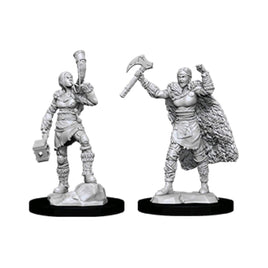 Dungeons and Dragons Female Human Barbarian Nolzur's Miniatures
