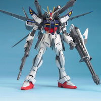 MG Strike Gundam E+IWSP (ASTRAYS LUKAS O'DONNELL CUSTOM) (1/100 Scale) Plastic Gundam Model Kit