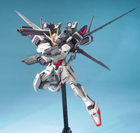 MG Strike Gundam E+IWSP (ASTRAYS LUKAS O'DONNELL CUSTOM) (1/100 Scale) Plastic Gundam Model Kit