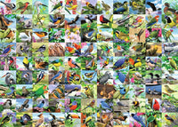 99 Delightful Birds (300 Large Format Piece) Puzzle