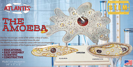 The Amoeba Educational Model Kit