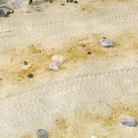 AK Acrylic Terrains Desert Sand 250mL