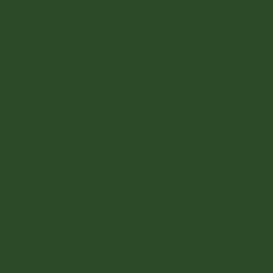 Flat Brushable Acrylic Paints 1oz 29.6mL Southern Pacific Depot Moss Green