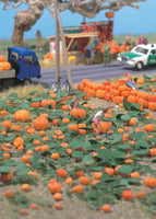 Pumpkin Patch 80 pumpkins & Eight Vines