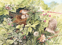 Hidden Nest (1000 Piece) Puzzle