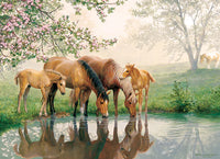 Horse Family (350 Family Piece) Puzzle