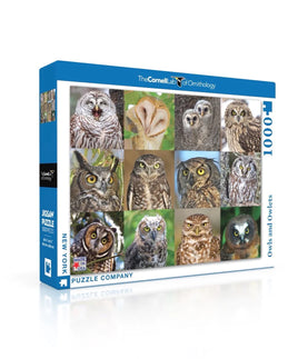 Owls and Owlets (1000 Piece) Puzzle