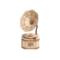 3D Modern Wooden Puzzle: Gramophone