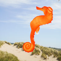3D Windsock Seahorse