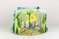 A Year in Nature A Carousel Book of the Seasons Hardcover - Hazel Maskell