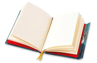 Foiled Journal (Assorted)