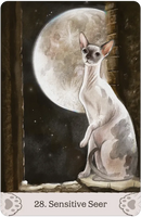 Cat Mythos And Magic Oracle Deck