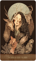 US Games Systems Dream Song Oracle Deck