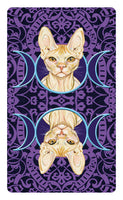 Tarot of Pagan Cats Mini Deck