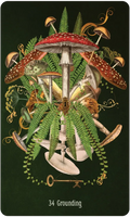 US Games Systems Unlocking The Secret Garden Oracle Deck