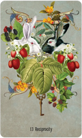 US Games Systems Unlocking The Secret Garden Oracle Deck