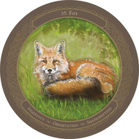 Enchanted Wheel Oracle Deck