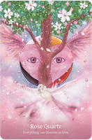 Shamanic Crystals Oracle Deck