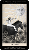 US Games Soul Of Reflections Tarot Deck