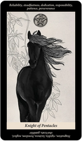 US Games Soul Of Reflections Tarot Deck