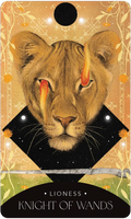 US Games The Symbolic Tarot Deck