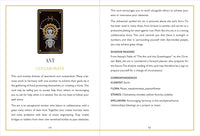 Wild Mystic Oracle Card Deck