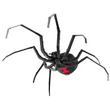Metal Earth Black Widow Spider Model Set