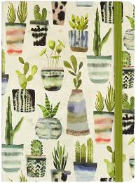 Peter Pauper Watercolor Succulents Journal