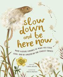 Slow Down And Be Here Now Book