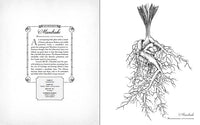 Wicked Plants Coloring Book