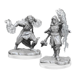 Dungeons and Dragons Half-Elf Warlock Nolzur's Marvelous Miniatures