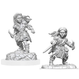 Dungeons And Dragons Female Halfling Rogue Nolzur's Miniatures