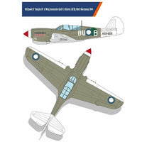 USAAF P-40N Battle of Imphal (1/48 Scale) Aircraft Model Kit