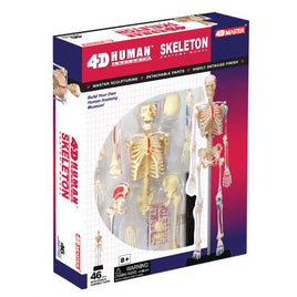 4D Human Skeleton